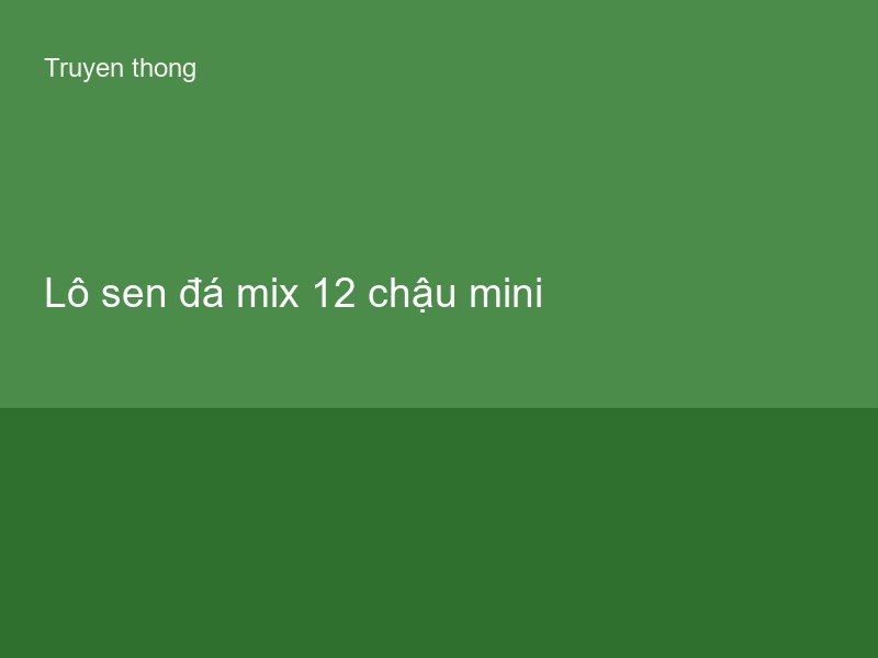 Lô sen đá mix 12 chậu mini