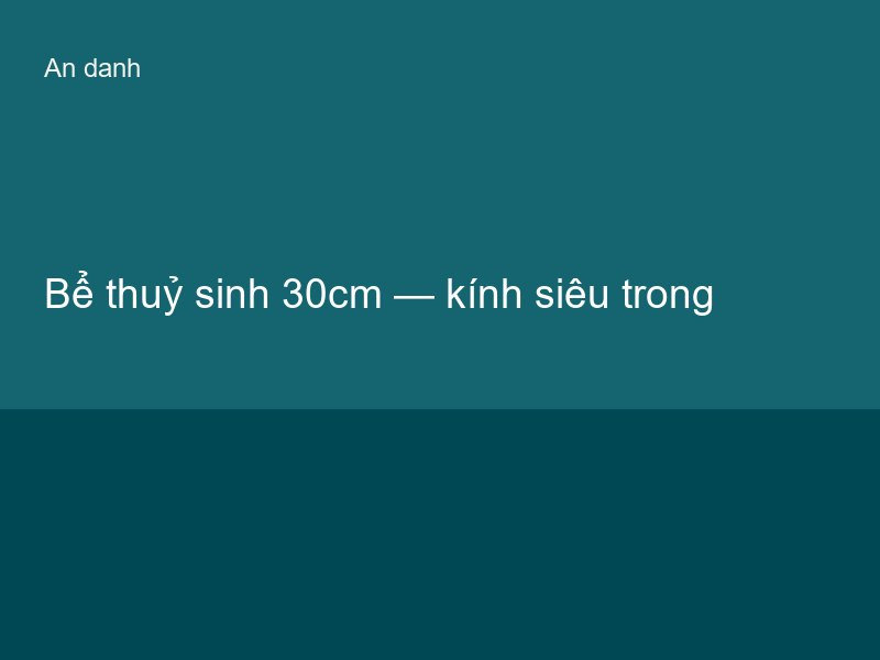 Bể thuỷ sinh 30cm — kính siêu trong